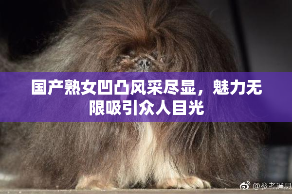 国产熟女凹凸风采尽显，魅力无限吸引众人目光