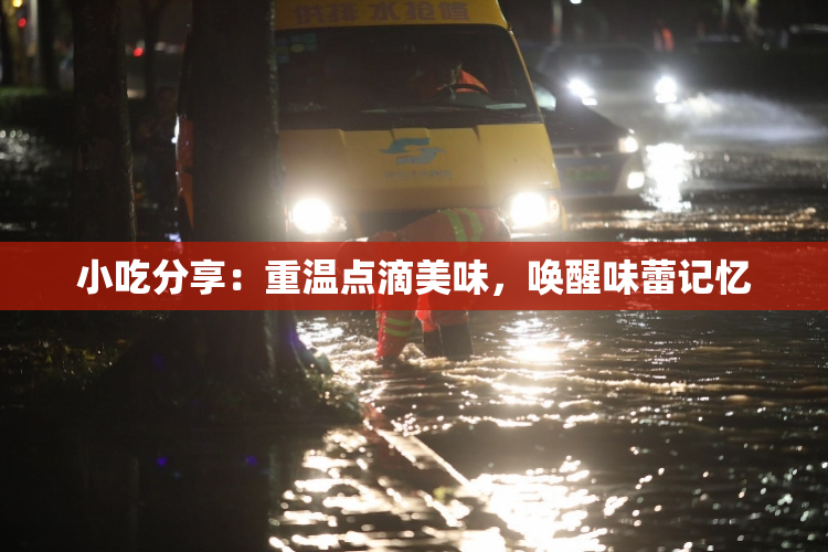 小吃分享：重温点滴美味，唤醒味蕾记忆