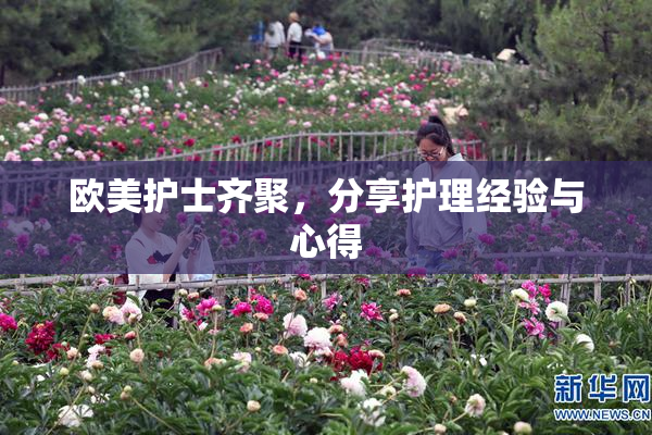 欧美护士齐聚，分享护理经验与心得