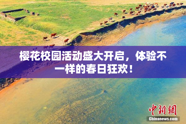 樱花校园活动盛大开启，体验不一样的春日狂欢！