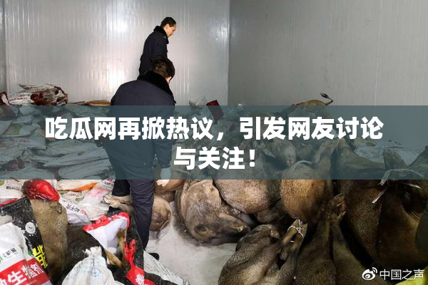 吃瓜网再掀热议，引发网友讨论与关注！