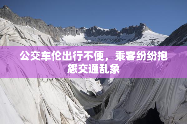 公交车伦出行不便，乘客纷纷抱怨交通乱象