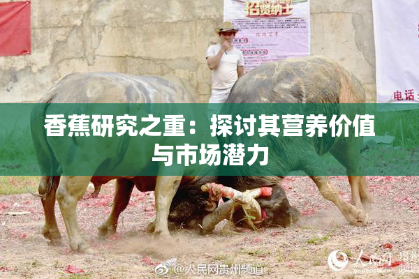 香蕉研究之重：探讨其营养价值与市场潜力