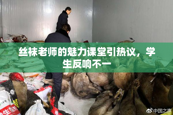丝袜老师的魅力课堂引热议，学生反响不一