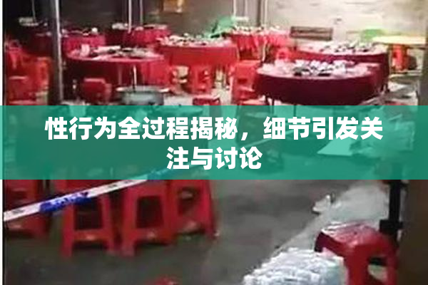 性行为全过程揭秘，细节引发关注与讨论