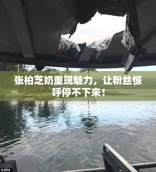 张柏芝奶重现魅力，让粉丝惊呼停不下来！