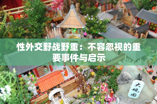 性外交野战野重：不容忽视的重要事件与启示