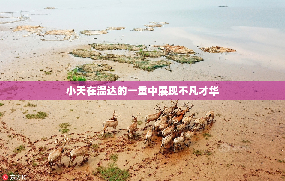 小天在温达的一重中展现不凡才华
