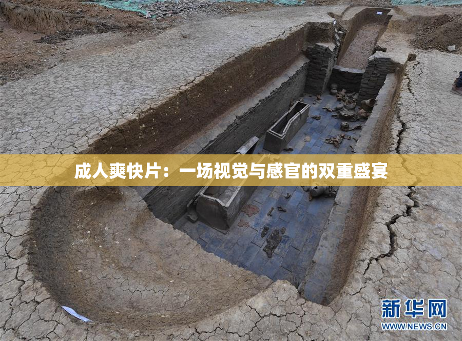 成人爽快片：一场视觉与感官的双重盛宴