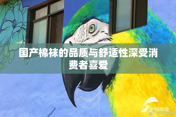 国产棉袜的品质与舒适性深受消费者喜爱