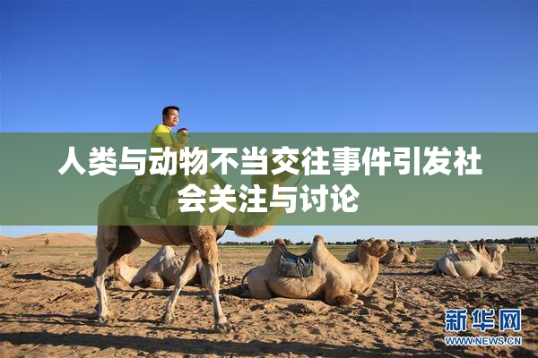 人类与动物不当交往事件引发社会关注与讨论