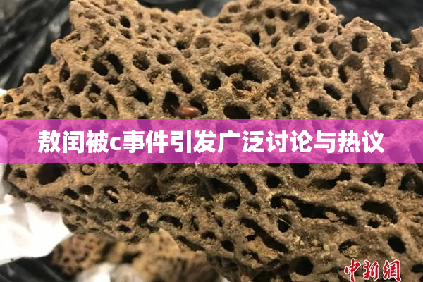敖闰被c事件引发广泛讨论与热议