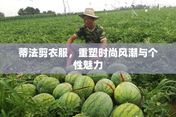 蒂法剪衣服，重塑时尚风潮与个性魅力