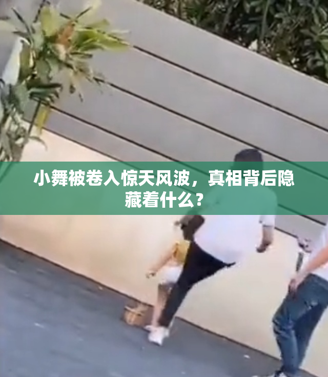 小舞被卷入惊天风波，真相背后隐藏着什么？