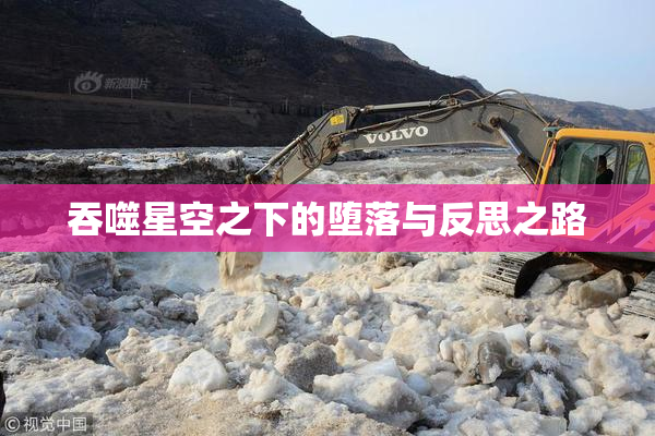 吞噬星空之下的堕落与反思之路