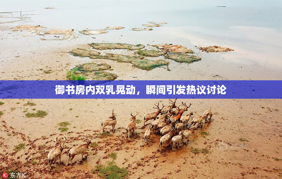 御书房内双乳晃动，瞬间引发热议讨论