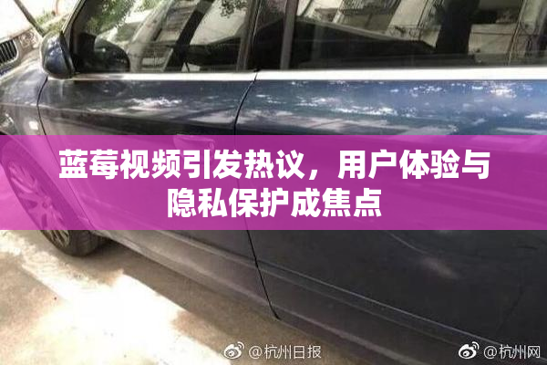 蓝莓视频引发热议，用户体验与隐私保护成焦点