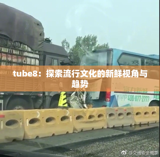 tube8：探索流行文化的新鲜视角与趋势