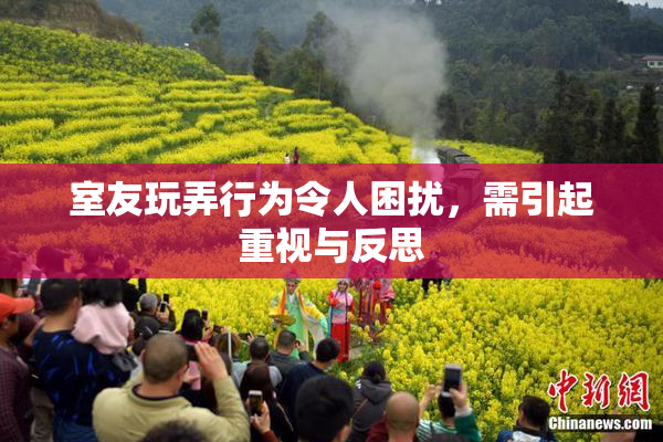 室友玩弄行为令人困扰，需引起重视与反思
