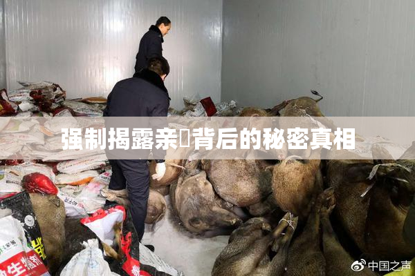 强制揭露亲妺背后的秘密真相