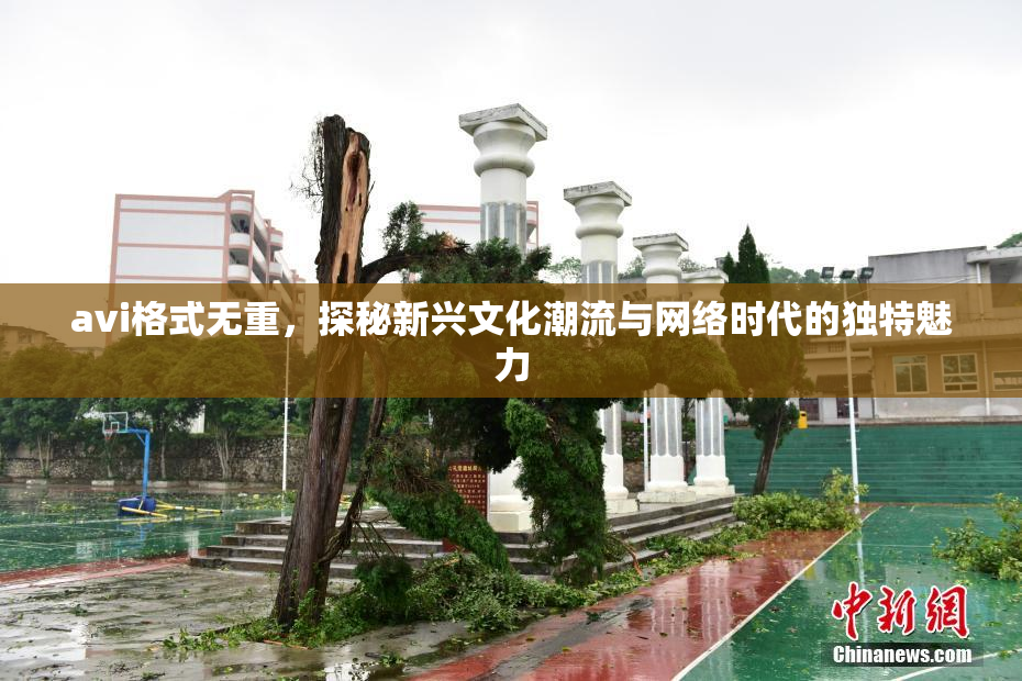 avi格式无重，探秘新兴文化潮流与网络时代的独特魅力