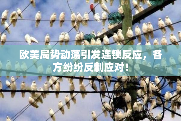 欧美局势动荡引发连锁反应，各方纷纷反制应对！