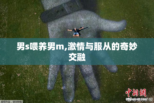 男s喂养男m,激情与服从的奇妙交融