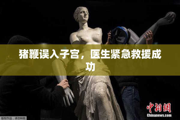 猪鞭误入子宫，医生紧急救援成功