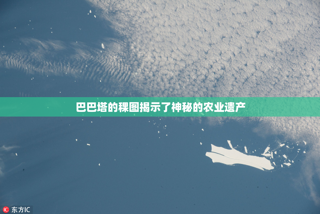 巴巴塔的稞图揭示了神秘的农业遗产
