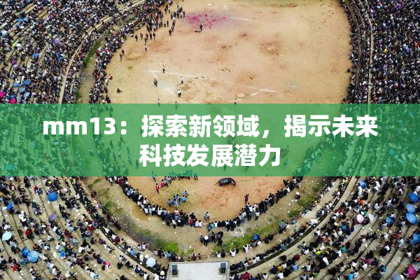 mm13：探索新领域，揭示未来科技发展潜力