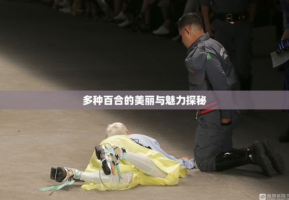 多种百合的美丽与魅力探秘