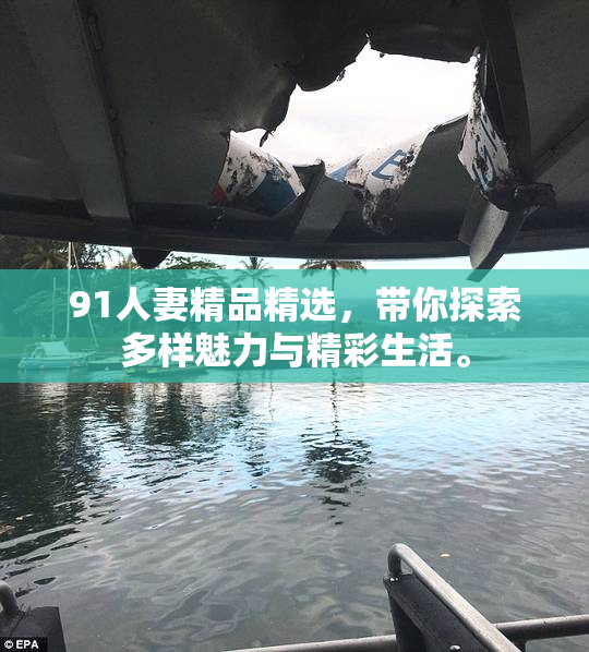 91人妻精品精选，带你探索多样魅力与精彩生活。