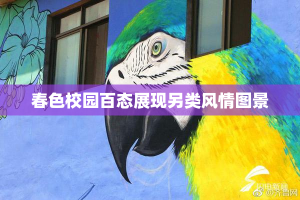 春色校园百态展现另类风情图景