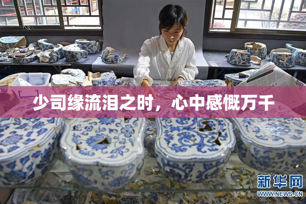 少司缘流泪之时，心中感慨万千
