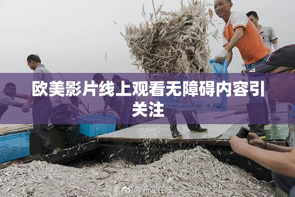 欧美影片线上观看无障碍内容引关注