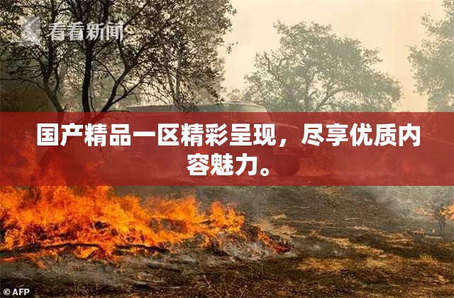 国产精品一区精彩呈现，尽享优质内容魅力。