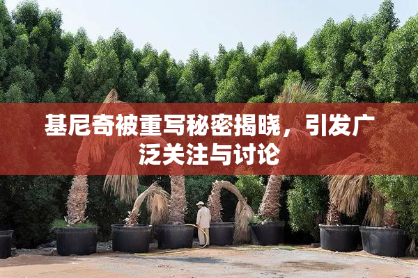 基尼奇被重写秘密揭晓，引发广泛关注与讨论