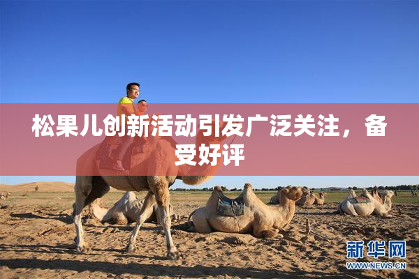 松果儿创新活动引发广泛关注，备受好评