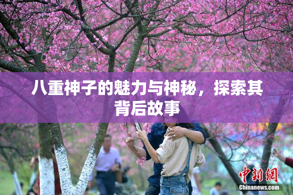 八重神子的魅力与神秘，探索其背后故事