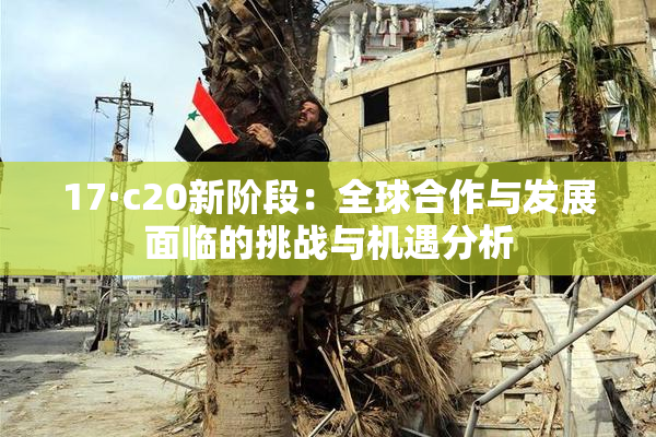 17·c20新阶段：全球合作与发展面临的挑战与机遇分析