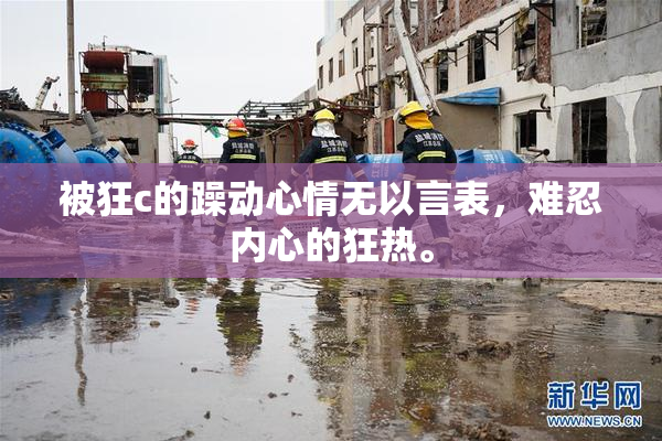被狂c的躁动心情无以言表，难忍内心的狂热。