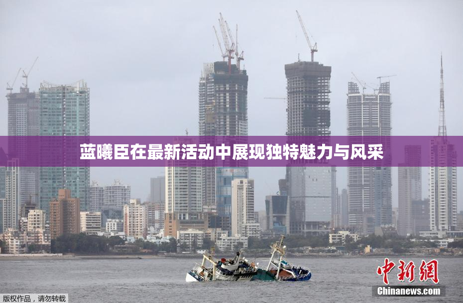 蓝曦臣在最新活动中展现独特魅力与风采