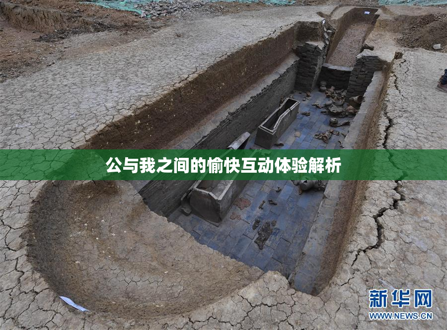 公与我之间的愉快互动体验解析