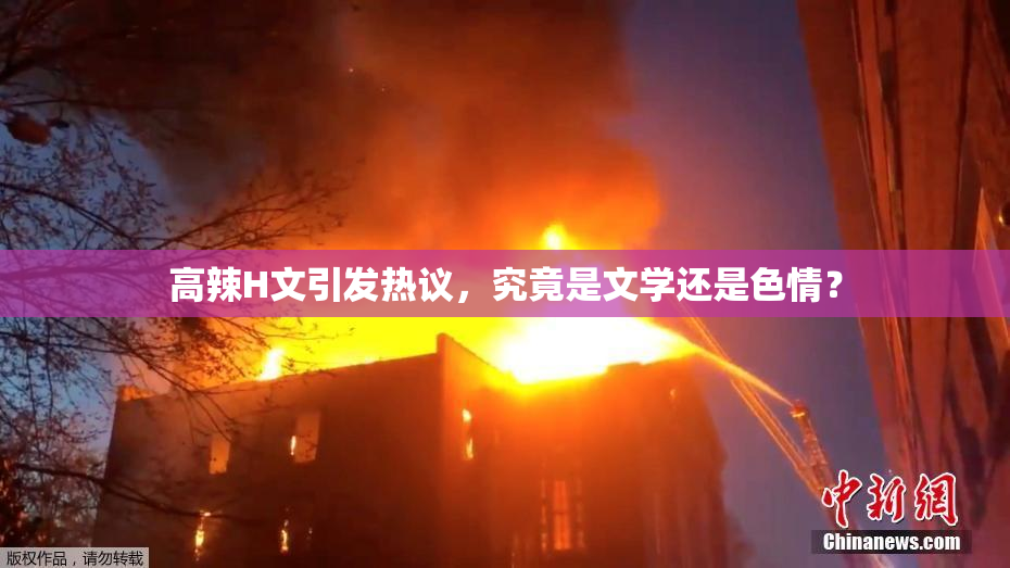 高辣H文引发热议，究竟是文学还是色情？