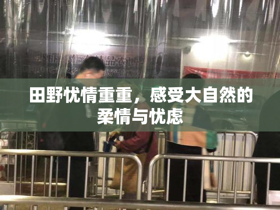 田野忧情重重，感受大自然的柔情与忧虑