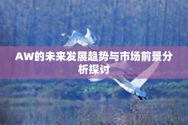AW的未来发展趋势与市场前景分析探讨