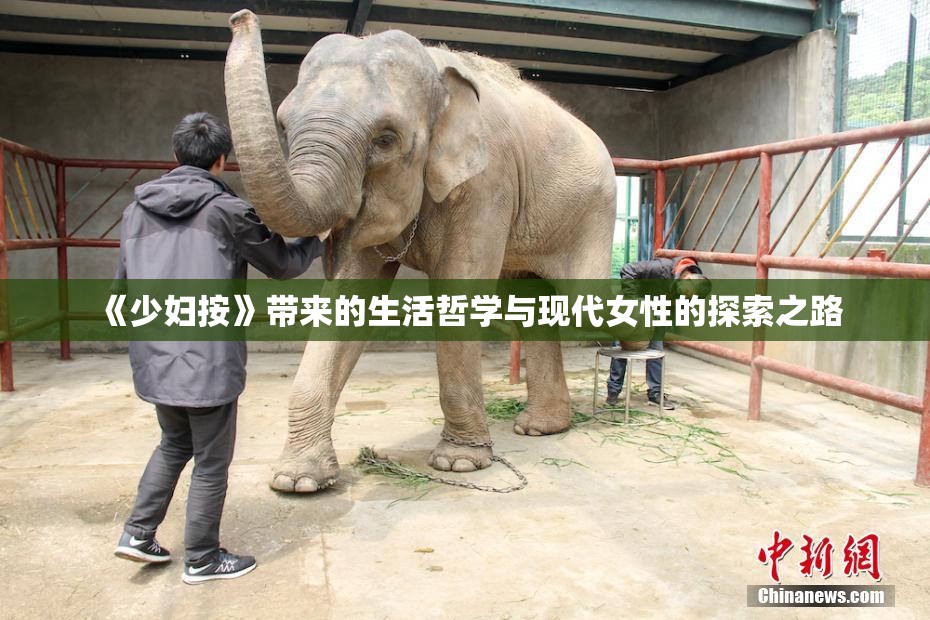 《少妇按》带来的生活哲学与现代女性的探索之路