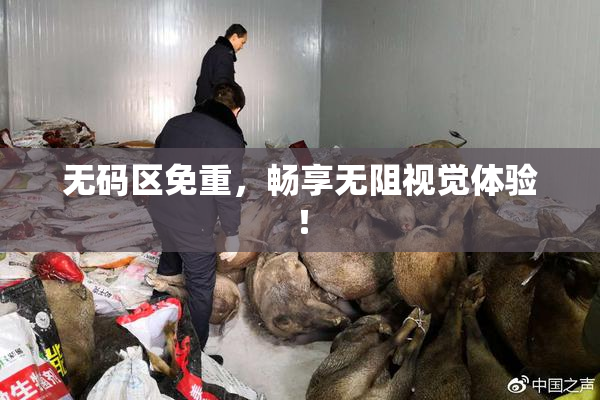 无码区免重，畅享无阻视觉体验！