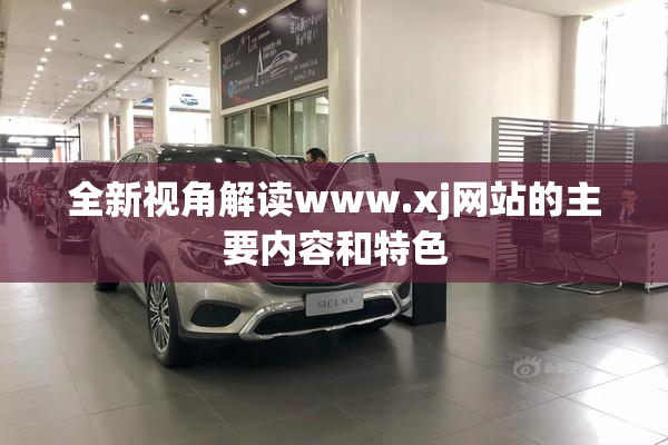 全新视角解读www.xj网站的主要内容和特色