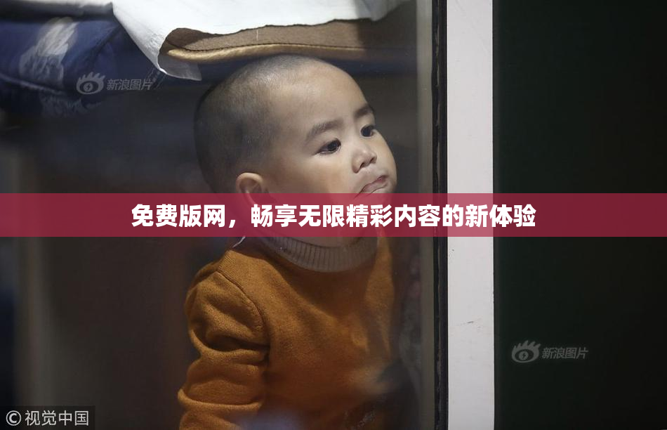 免费版网，畅享无限精彩内容的新体验